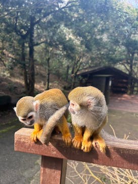 長崎バイオパークに投稿された画像（2024/2/4）