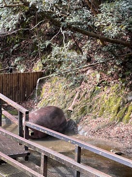 長崎バイオパークに投稿された画像（2024/2/4）