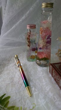 ずこうしつ〜sugamo〜に投稿された画像（2024/2/4）