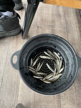 NaturaBaseに投稿された画像（2024/2/4）