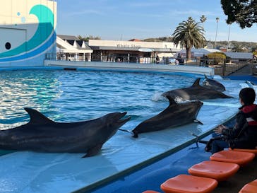 南知多ビーチランド＆南知多おもちゃ王国に投稿された画像（2024/2/4）