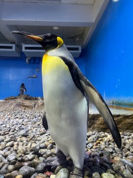 南知多ビーチランド＆南知多おもちゃ王国に投稿された画像（2024/2/4）