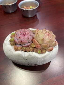 浜松ハンドメイドマルシェ2026に投稿された画像（2024/2/4）