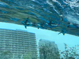 サンシャイン水族館に投稿された画像（2024/2/4）