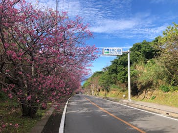 今帰仁城跡に投稿された画像（2024/2/4）