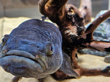 AOAO SAPPOROに投稿された画像（2024/2/4）