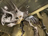 国立科学博物館に投稿された画像（2024/2/4）