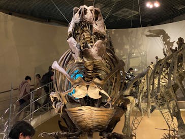 国立科学博物館に投稿された画像（2024/2/4）