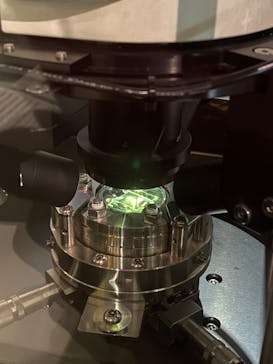 国立科学博物館に投稿された画像（2024/2/4）