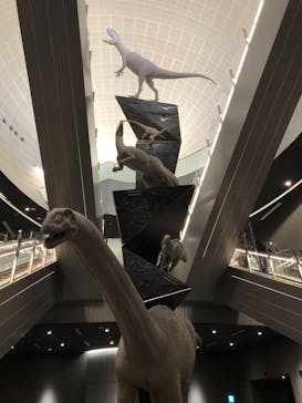 福井県立恐竜博物館に投稿された画像（2024/2/4）