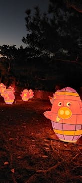 体験王国 むら咲むらに投稿された画像（2024/2/4）