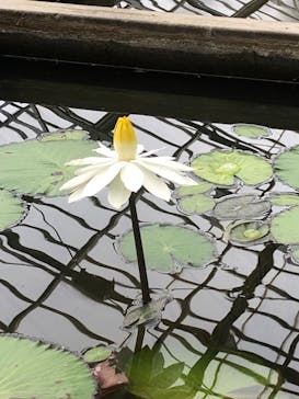 熱川バナナワニ園に投稿された画像（2024/2/4）