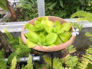 熱川バナナワニ園に投稿された画像（2024/2/4）