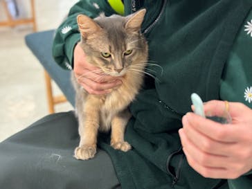 Moff animal world BIGHOPガーデンモール印西店に投稿された画像（2024/2/4）