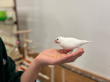 Moff animal world BIGHOPガーデンモール印西店に投稿された画像（2024/2/4）