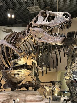 国立科学博物館に投稿された画像（2024/2/4）