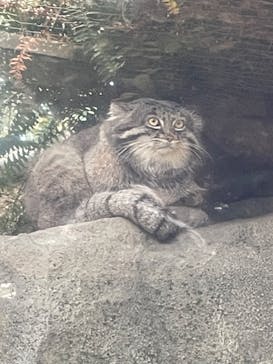 神戸どうぶつ王国に投稿された画像（2024/2/4）