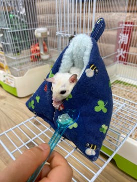 いきもの探検隊上尾に投稿された画像（2024/2/4）