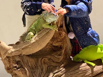 カワスイ 川崎⽔族館に投稿された画像（2024/2/4）