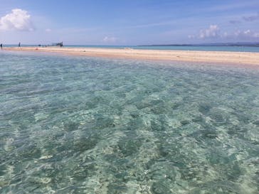 SeaChan石垣島に投稿された画像（2024/2/4）