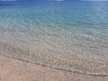 SeaChan石垣島に投稿された画像（2024/2/4）