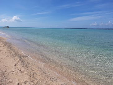 SeaChan石垣島に投稿された画像（2024/2/4）