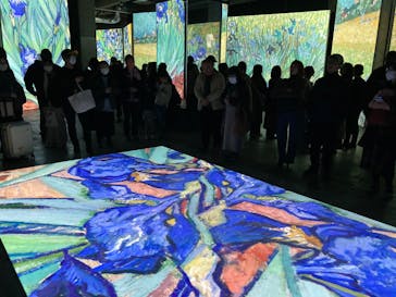 ゴッホ・アライブに投稿された画像（2024/2/4）