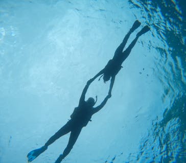 宮古島 ADVENTURE PiPi（ミヤコジマ アドベンチャー ピピ）に投稿された画像（2024/2/4）