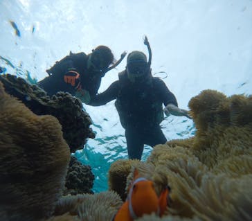 宮古島 ADVENTURE PiPi（ミヤコジマ アドベンチャー ピピ）に投稿された画像（2024/2/4）