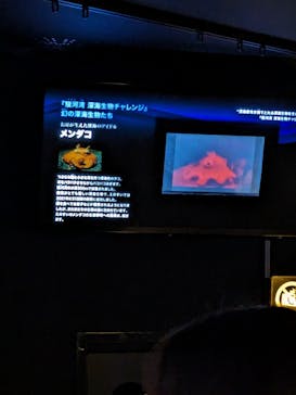 新江ノ島水族館に投稿された画像（2024/2/4）