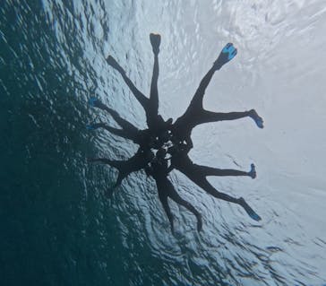 宮古島 ADVENTURE PiPi（ミヤコジマ アドベンチャー ピピ）に投稿された画像（2024/2/4）