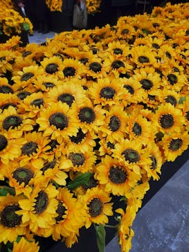 ゴッホ・アライブに投稿された画像（2024/2/4）