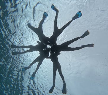 宮古島 ADVENTURE PiPi（ミヤコジマ アドベンチャー ピピ）に投稿された画像（2024/2/4）