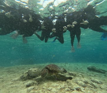 宮古島 ADVENTURE PiPi（ミヤコジマ アドベンチャー ピピ）に投稿された画像（2024/2/4）