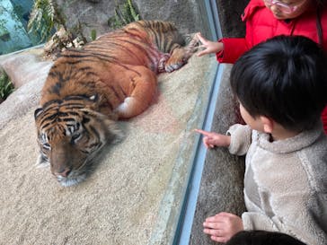 神戸どうぶつ王国に投稿された画像（2024/2/4）