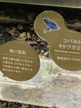 カワスイ 川崎⽔族館に投稿された画像（2024/2/4）