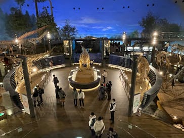 福井県立恐竜博物館に投稿された画像（2024/2/4）