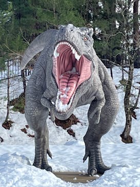 福井県立恐竜博物館に投稿された画像（2024/2/4）