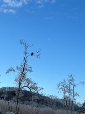 East powerに投稿された画像（2024/2/4）