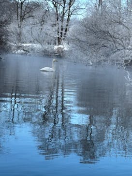 East powerに投稿された画像（2024/2/4）