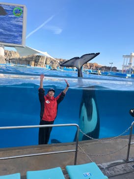 名古屋港水族館に投稿された画像（2024/2/4）