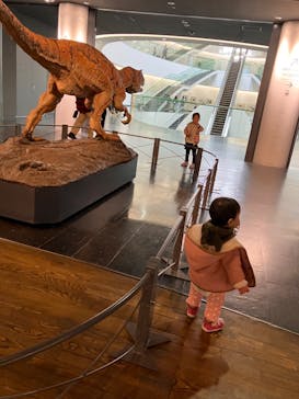 福井県立恐竜博物館に投稿された画像（2024/2/4）
