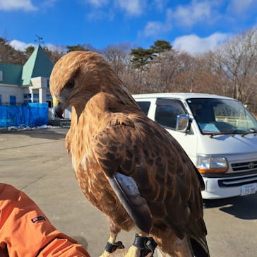 那須どうぶつ王国に投稿された画像（2024/2/4）