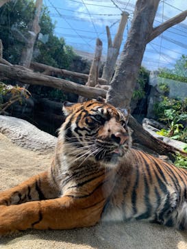 神戸どうぶつ王国に投稿された画像（2024/2/4）