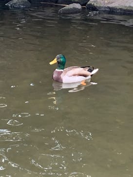 神戸どうぶつ王国に投稿された画像（2024/2/4）