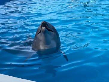 南知多ビーチランド＆南知多おもちゃ王国に投稿された画像（2024/2/4）