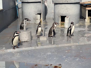 南知多ビーチランド＆南知多おもちゃ王国に投稿された画像（2024/2/4）