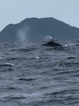 NEWS那覇店に投稿された画像（2024/2/5）