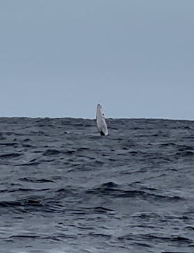 NEWS那覇店に投稿された画像（2024/2/5）