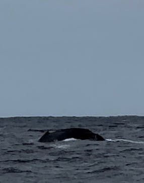 NEWS那覇店に投稿された画像（2024/2/5）